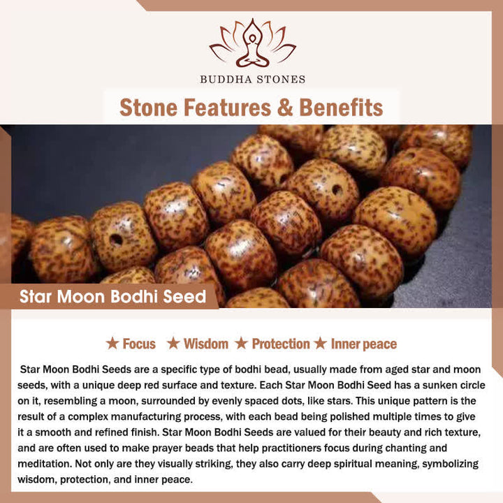 Buddha Stones Portachiavi di protezione con tartarughe in ottone, monete Pi Xiu e cinque imperatori - image 10