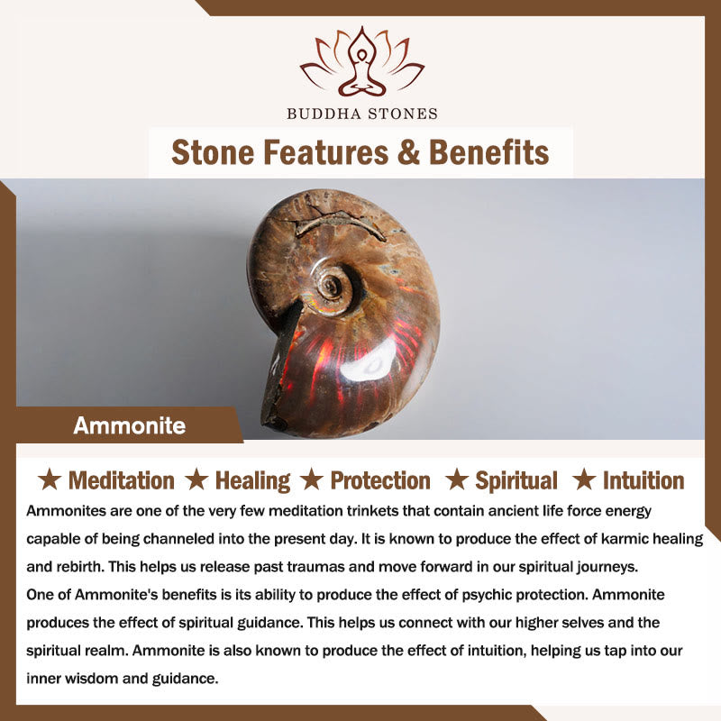 Collana con ciondolo di guarigione di meditazione con motivo a lumaca fossile di ammonite naturale Buddha Stones