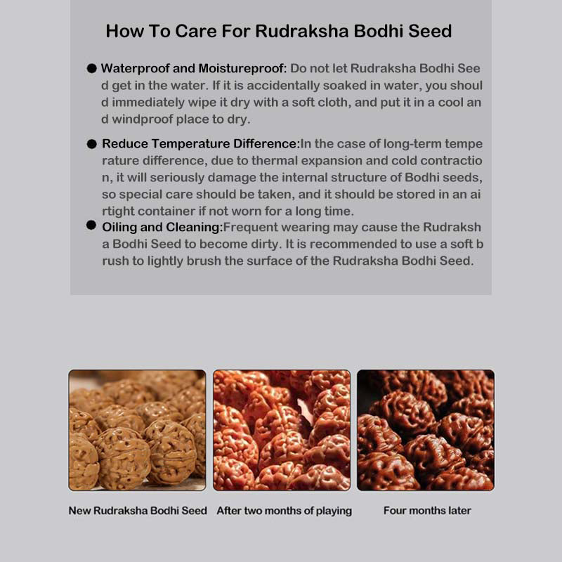 Braccialetto della ricchezza in agata di semi di Bodhi e rudraksha tibetano di Buddha Stones
