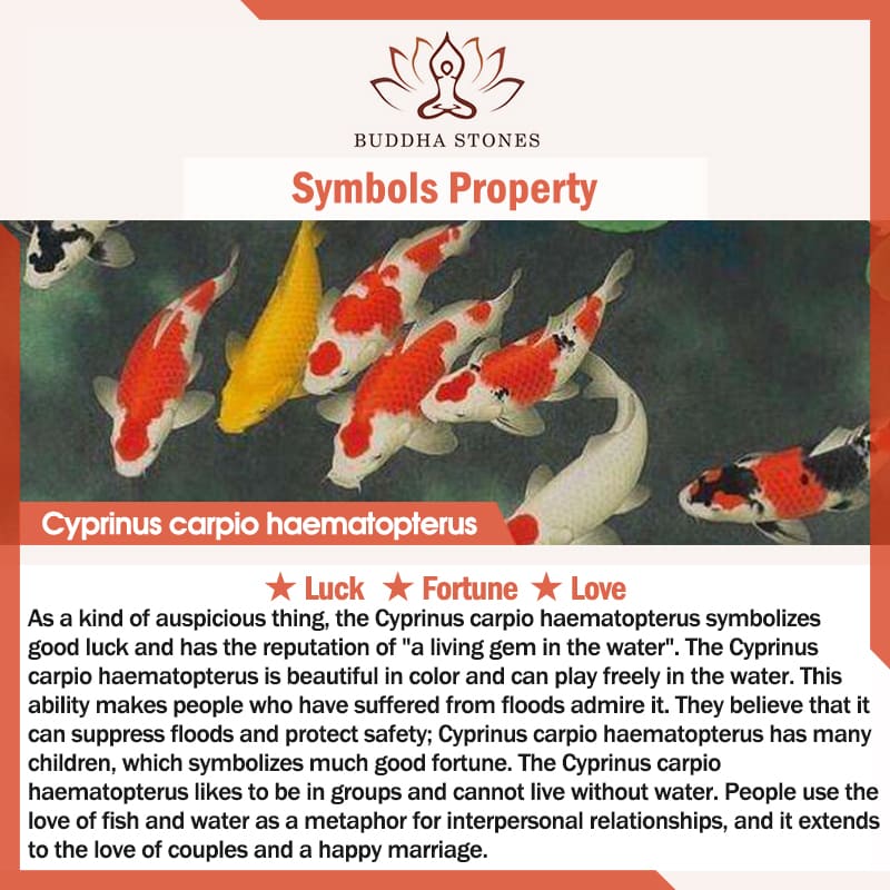 Braccialetto intrecciato con corda in argento Buddha Stones Luck Koi Fish
