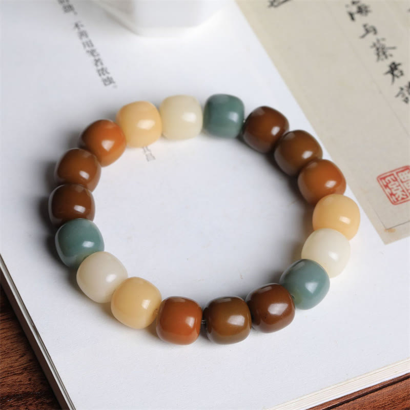 Bracciale Buddha Stones Multicolore Bodhi Seed Keep Away Evil Spirits