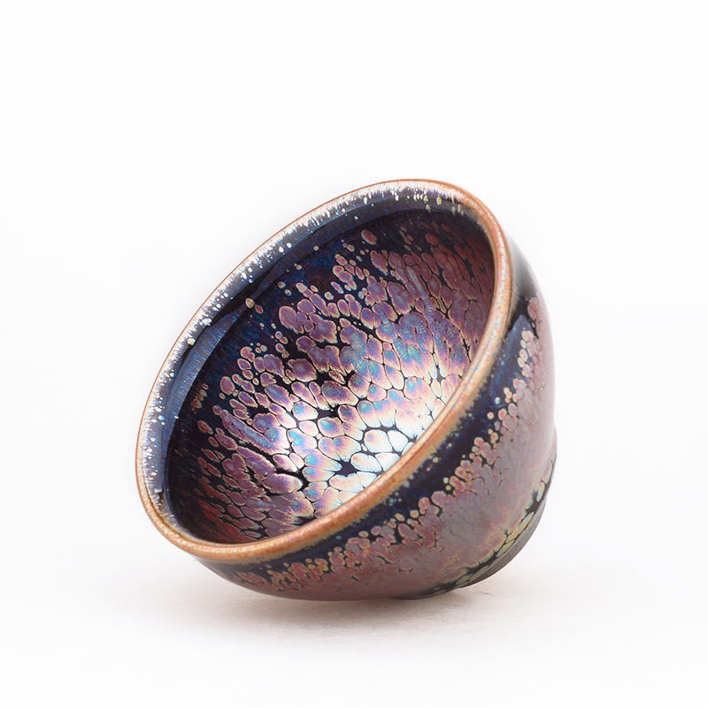 Buddha Stones fatte a mano con motivo di piante succulente Jianzhan cinese tazza da tè in ceramica Tenmoku Kung Fu